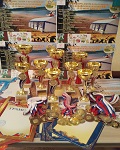 «Все золото Мира» на турнирах Летнего Дартс Лагеря 2020 года / № 150